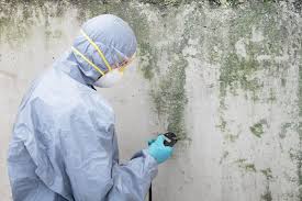 Fort Washakie, WY Mold Remediation Company